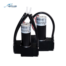 Micro bomba de vácuo YWfluid de alto desempenho com motor 12V 24V BLDC usado para sucção de transmissão de gás YW29-bldc